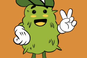 Фирменный персонаж