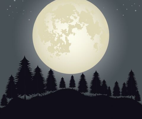 img4222069.png
