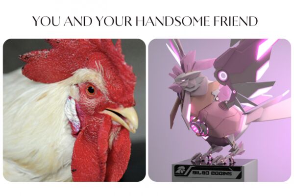 img4247194.png