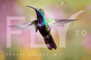 Дизайн сайта для туристического агентства