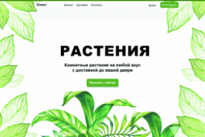 Дизайн Landing Page