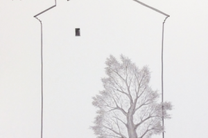 Клаузура. Контраст