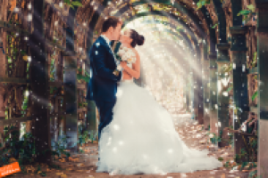 Работа 2743101