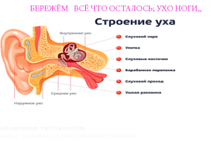 Бережём ухо, ноги и всё, что осталось...