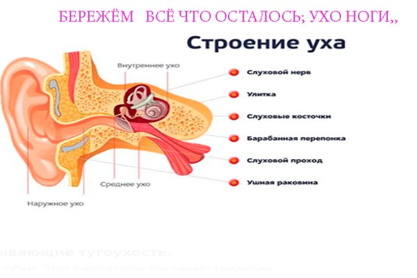 img4017515.png