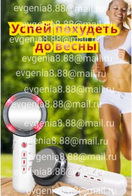 img3869606.png