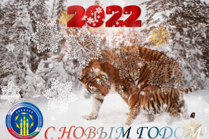 Дизайн новогодней открытки