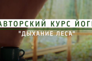 Авторский курс йоги (Мария Ш.)
