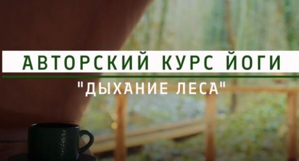 img4311192.png
