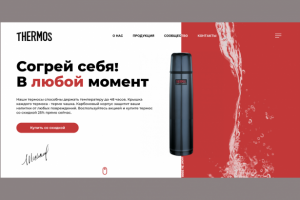 Работа для портфолио