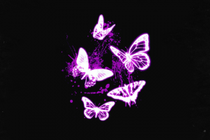 СВЕДЕНИЕ + БИТ