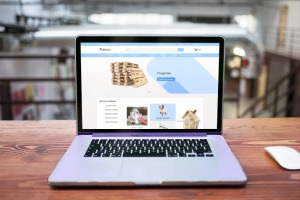 Разработка интернет магазина на Opencart