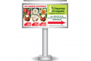 "Зеленая страна" садовый гипермаркет_3