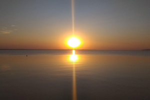 Текст для презентации