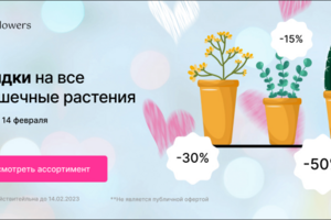 Баннер для цветочного салона в честь 14 февраля