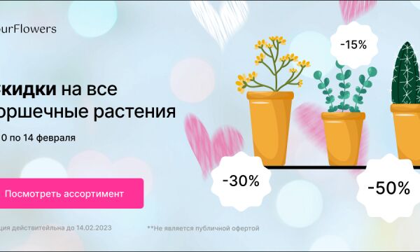 img4318231.png