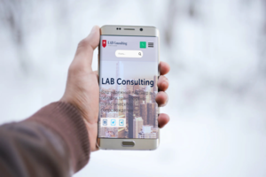 Lab Consulting