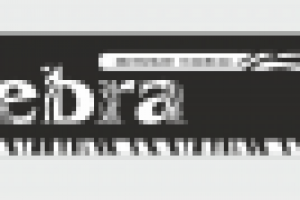 Отдел женской одежды в ТЦ