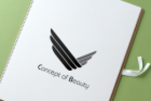 Concept of Beauty