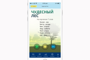 электронная книга