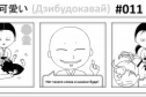 Дзибудокавай 11