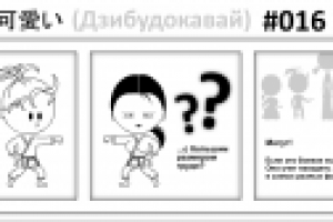 Дзибудокавай 16