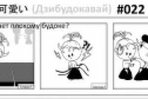 Дзибудокавай 22