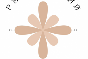 примеры работ