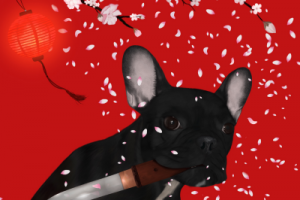 Путь самурая