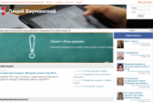 ГАОУ РМЭ "Лицей Бауманский"