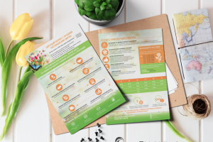 Коммерческое предложение «Доставка цветов»