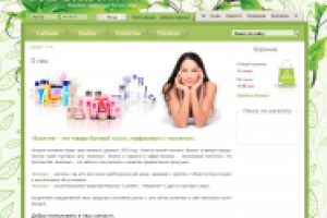 Интернет — магазин «Violina»