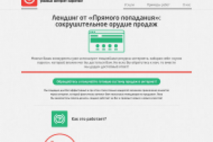 Сайт «Прямое попадание»