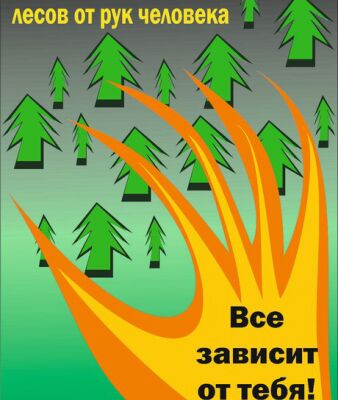 img4317637.png