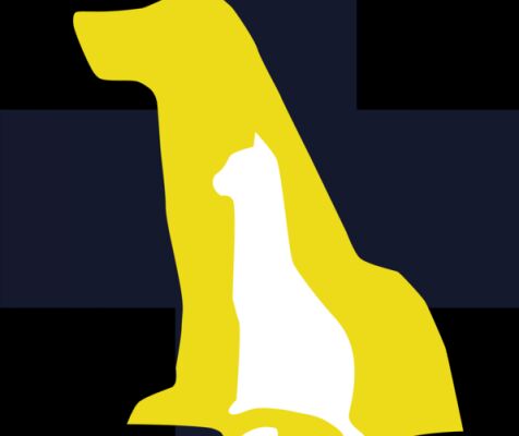 img4317619.png