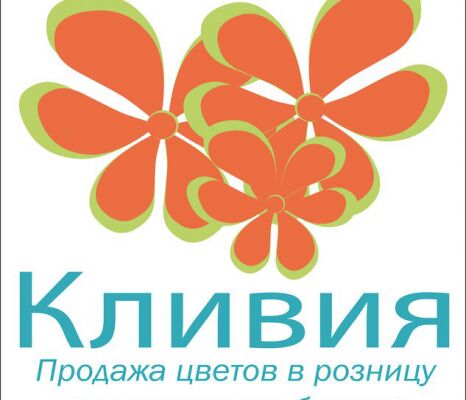 img4317626.png