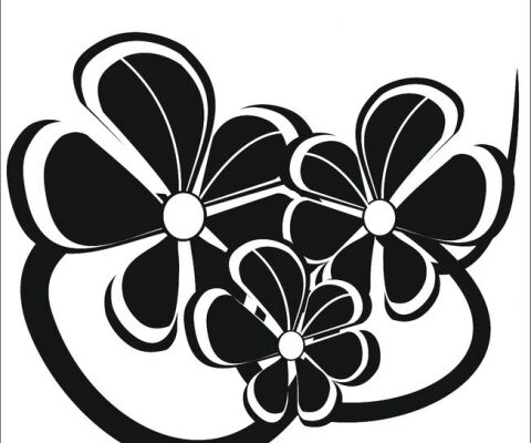 img4317627.png