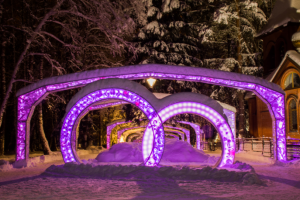 Реализация проекта Аллея Невест в Домодедово