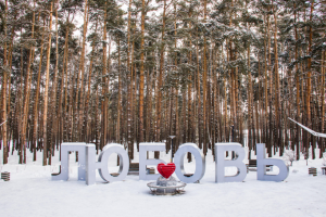 Реализация проекта Аллея Невест в Домодедово