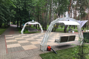 Реализация Аллеи Невест в Домодедово