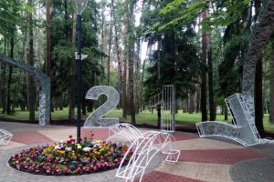 Процесс реализации проекта Аллеи Невест