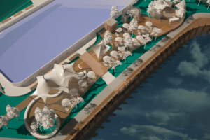 Проект Пляжной зоны в Домодедово