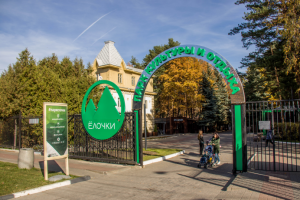 Реализация входной группы в парк Елочки