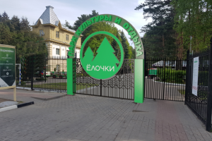 Входная группа с воротами в парке Елочки