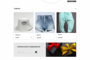 The Type (Дизайн интернет-магазина)