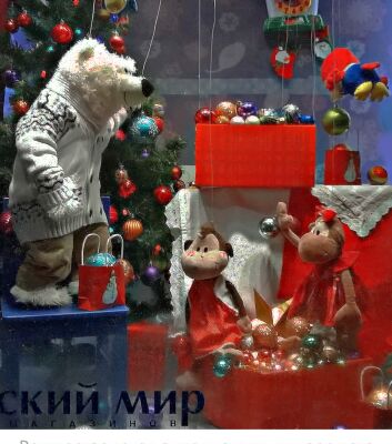 img3568331.png