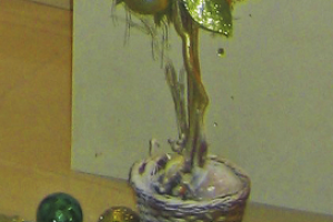 Работа 3568342