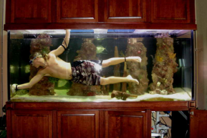 Генеральная уборка аквариума – последовательность действий