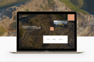 Интегрированная сервисная компания