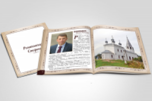 Программа предвыборной компании депутата